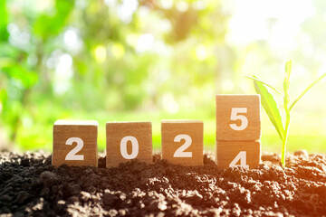 Transition change of year 2024 to 2025 in wooden blocks with growing plant at sunrise. Welcome new...