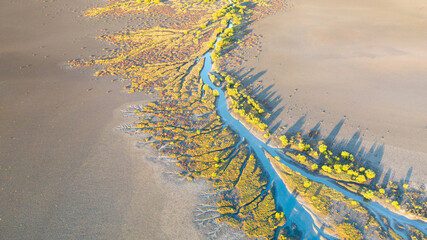 Creek and salt flats with green vegetation in beautiful pattern