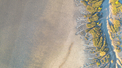 Creek and salt flats with green vegetation in beautiful pattern