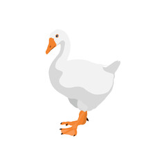 Vector illustration on white goose in cartoon flat style. Cute goose or geese domestic bird for logo and illustration resources. Bird icon and symbol in white background. Domestic farming