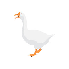 Vector illustration of white goose in cartoon flat style. Cute goose or geese domestic bird for logo and illustration resources. Bird icon and symbol in white background. Domestic farming