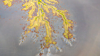Creek and salt flats with green vegetation in beautiful pattern