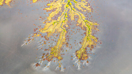 Creek and salt flats with green vegetation in beautiful pattern