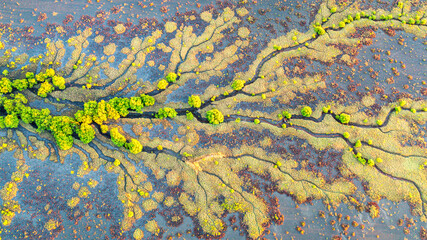 Creek and salt flats with green vegetation in beautiful pattern
