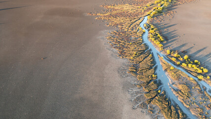 Creek and salt flats from above 