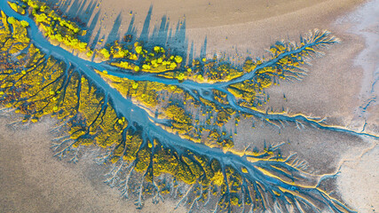 Creek and salt flats with green vegetation in beautiful pattern