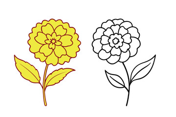 Marigold Flower vector illustration line art