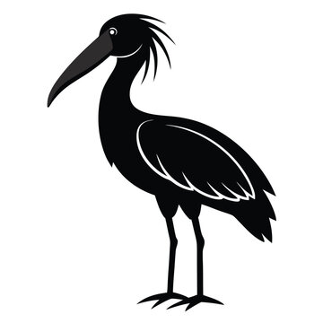 recommend clip art: Solid color Shoebill Stork animal vector design