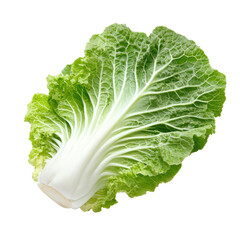Fresh Chinese Cabbage Leaf Isolated on White Background