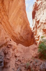 Hiking in Utah's Kodachrome Basin State Park
