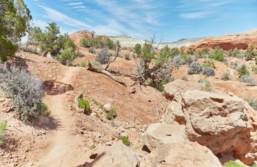 Hiking in Utah's Kodachrome Basin State Park