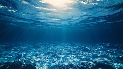 underwater view of the underwater world