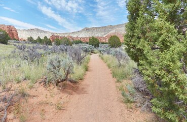 Obraz premium Hiking in Utah's Kodachrome Basin State Park