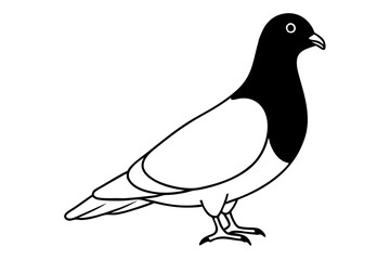 Pigeon silhouette | vector silhouette illustration on white background