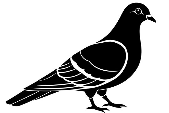 black pigeon silhouette on white background clip art preview