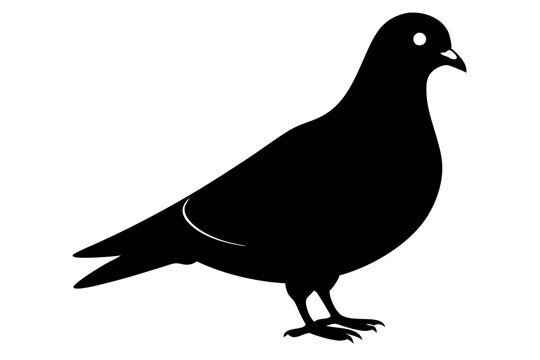 recommend clip art: Pigeon silhouette | vector silhouette illustration on white background