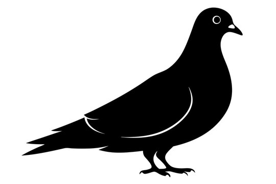 recommend clip art: Pigeon silhouette | vector silhouette illustration on white background