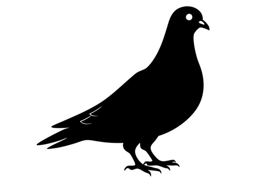 recommend clip art: Pigeon silhouette | vector silhouette illustration on white background