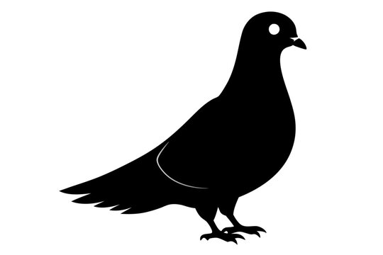 recommend clip art: Pigeon silhouette | vector silhouette illustration on white background