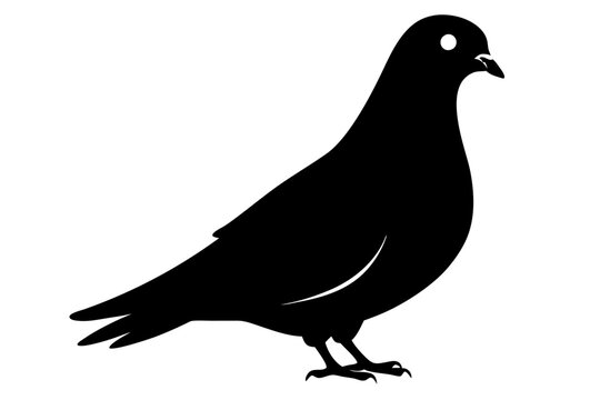 recommend clip art: Pigeon silhouette | vector silhouette illustration on white background