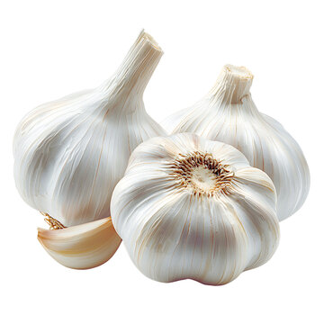 Fresh White Garlic Bulbs on White Background