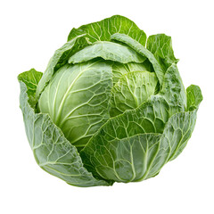 Fresh Green Cabbage Isolated on White Background