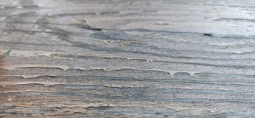 wood texture