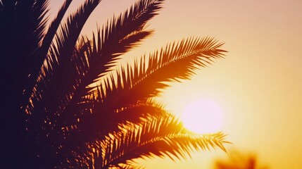 Fototapeta premium Sunset in Paradise: Silhouettes of Swaying Palm Leaves