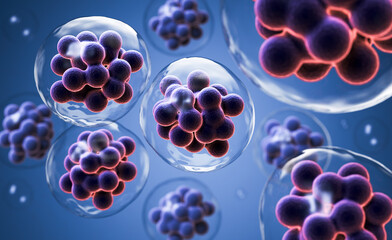 Embryonic stem cell or Human cell 3d illustration.