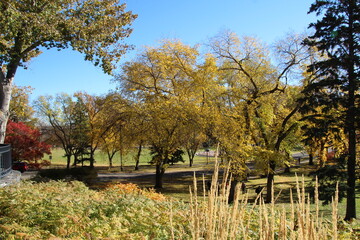 Autumn On The Legislature Grounds, Edmonton, Alberta