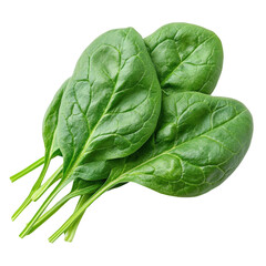 Fototapeta premium Fresh Green Spinach Leaves Isolated on White Background