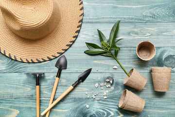 Gardening tools, peat pots, plant and straw hat on blue background. Top view