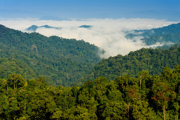 Scenic point of Khao Phanoen Thung Hill Kaeng Krachan National Park Phetchaburi Province, Thailand.