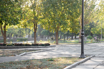 View of beautiful park with trees, flowerbed and pathway on sunny day