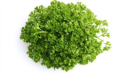 Obraz premium Parsley on white