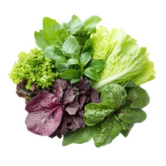 Fresh Mixed Salad Greens on White Background Isolate on a White Background Transparent Background