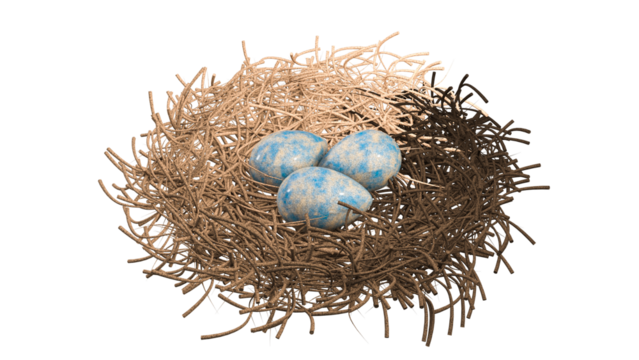Nest with 3 eggs 3D render