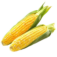 Bright Yellow Sweet Corn Kernels Isolated on White Background Isolate on a White Background Transparent Background