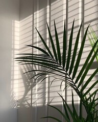 trees in the morning