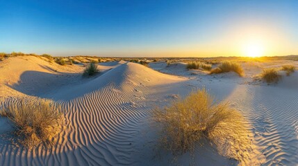 A serene desert landscape at sunset, showcasing sand dunes and sparse vegetation.