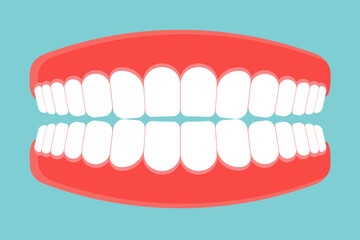 Denture icon. Gums with teeth or denture. Vector illustration.