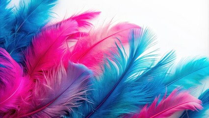 Fototapeta premium Vibrant pink and blue feathers on white background, feathers, pink, blue, colorful, bright, vibrant, soft, delicate, plumes