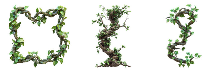 Fototapeta premium Decorative Natural Vines with Leaves for Design Use Isolated on Transparent Background