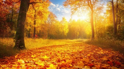 Fototapeta premium A peaceful autumn forest with trees covered in bright yellow and orange leaves, symbolizing the changing seasons.