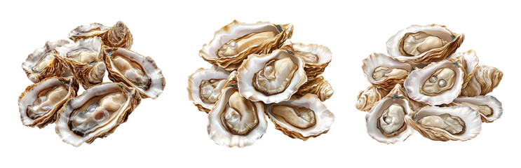 Fresh and Delicious Raw Oysters on Ice Isolated on Transparent Background