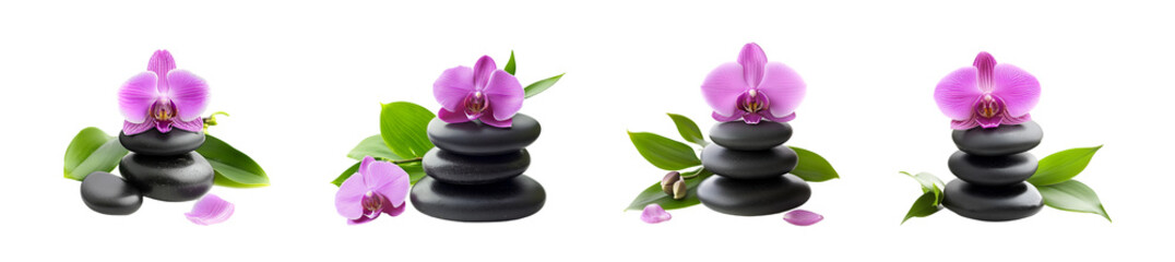 Pink orchid flower with black spa stones on a transparent background