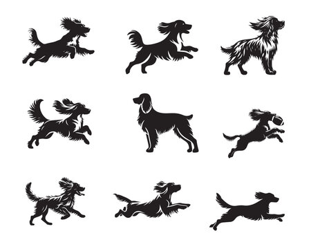Collection of English Springer Spaniel vector illustration - English Springer Spaniel Dog Silhouette Clipart Design