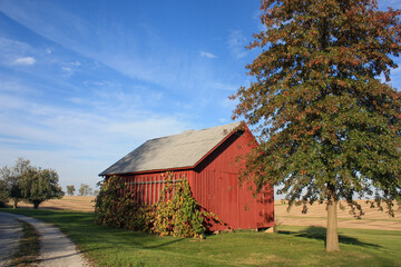red barn in autumn