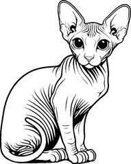 Black Line Art Sitting Sphynx Cat Pet Hand Drawn Illustration