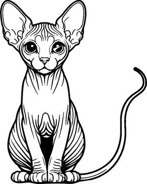 recommend clip art: Black Line Art Sitting Sphynx Cat Pet Hand Drawn Illustration